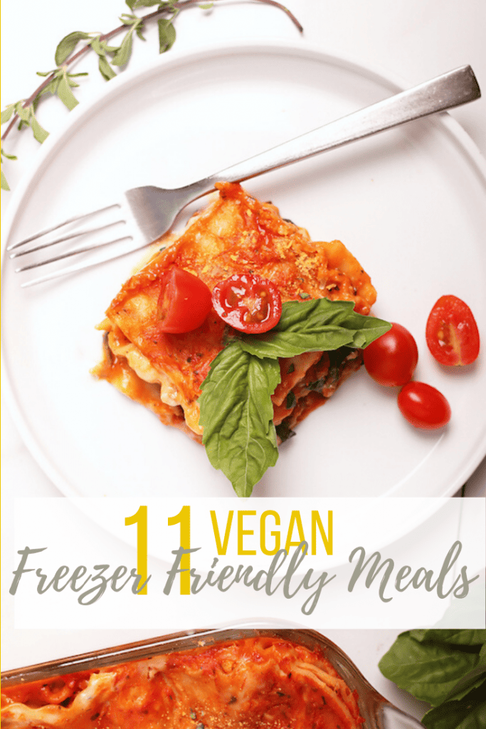 11 Vegan Freezer Meals Tips My Darling Vegan