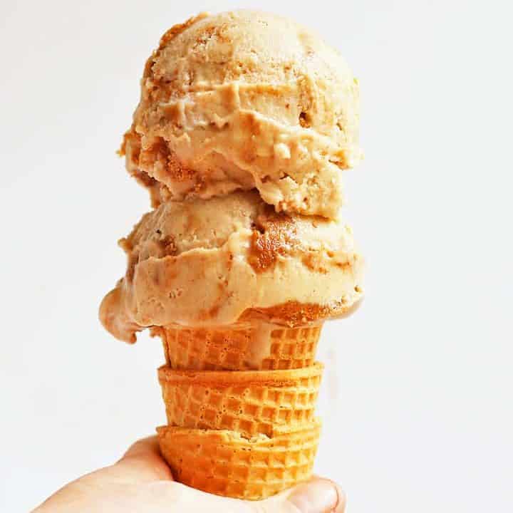 Vegan Snickerdoodle Ice Cream - My Darling Vegan