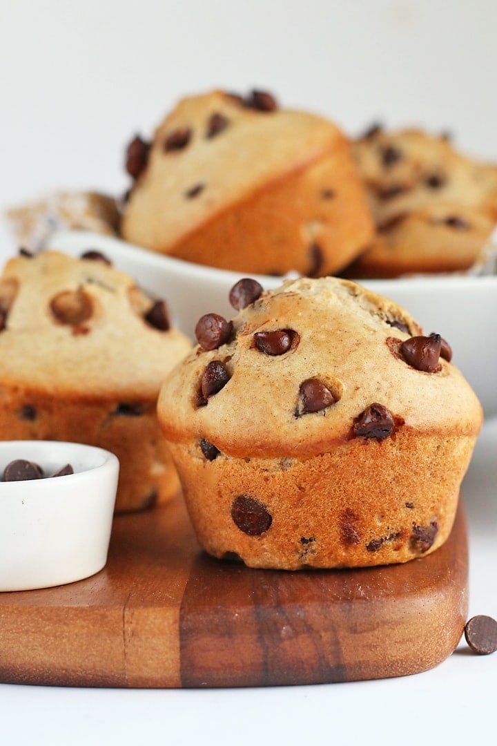 chocolate chip muffins recipe