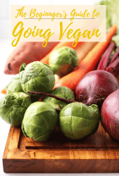 Veganism shouldn't be a mystery. It should be easy, fun, and accessible. And so I've made the Beginners Guide on How to Go Vegan to make the transition to a plant-based diet just that! Let's dig in