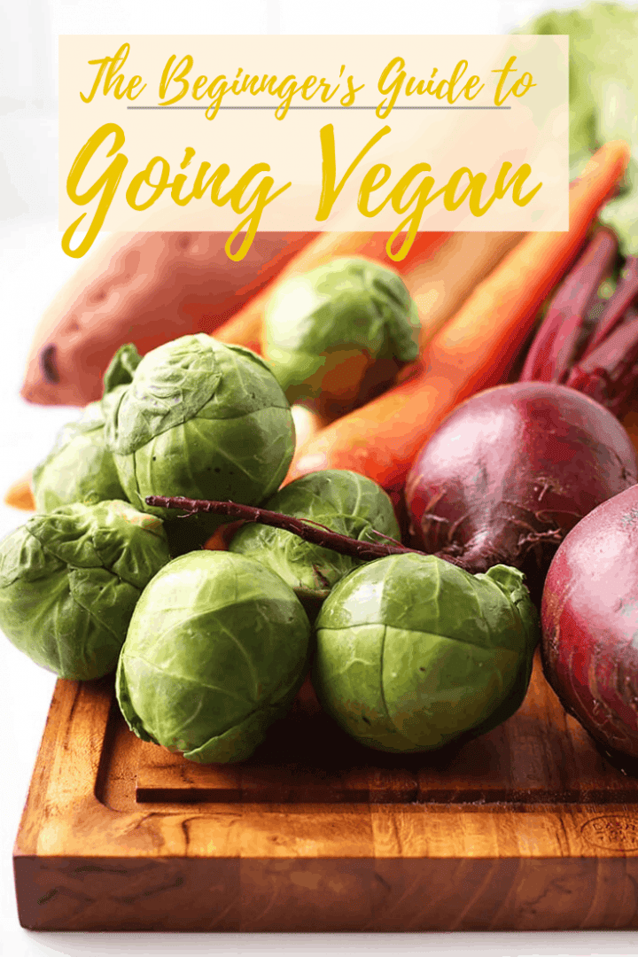 Beginners Guide To Going Vegan - My Darling Vegan