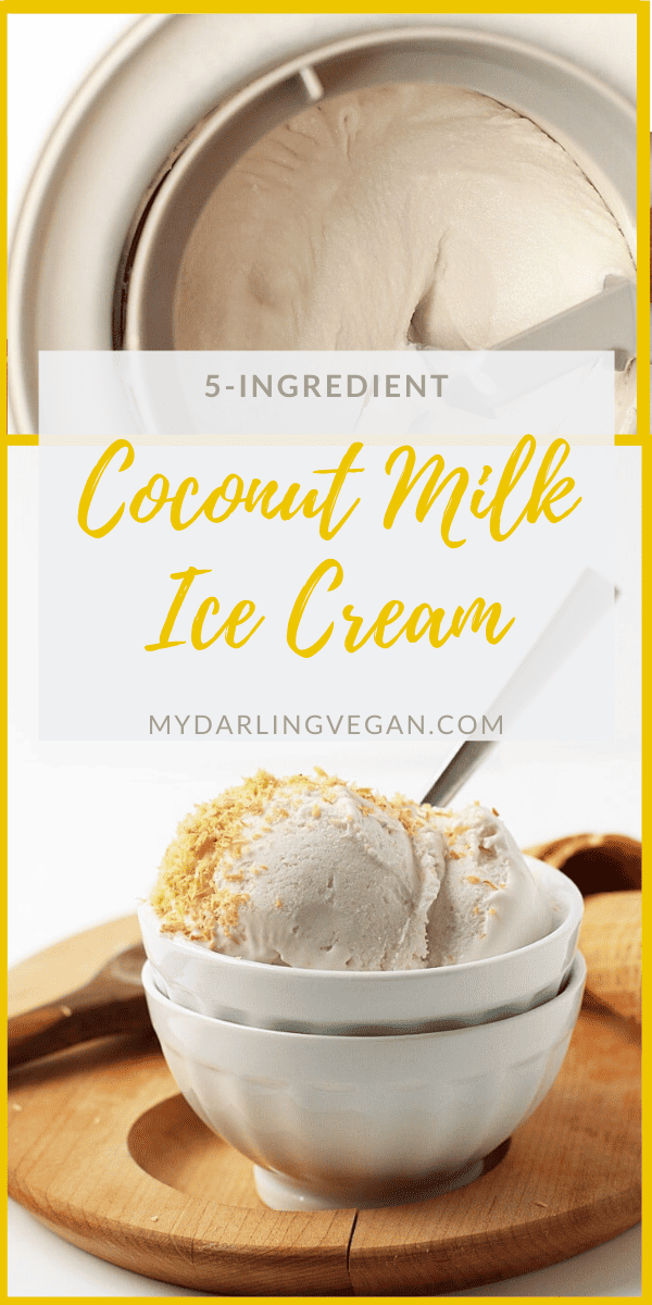5-Ingredient Coconut Milk Ice Cream | My Darling Vegan