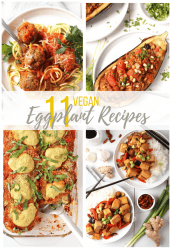 11 AMAZING Vegan Eggplant Recipes for eggplant lovers and skeptics alike. Everything from stuffed eggplant to eggplant curries, there is a recipe for everyone. Most recipes are gluten free or gluten free adaptable. 