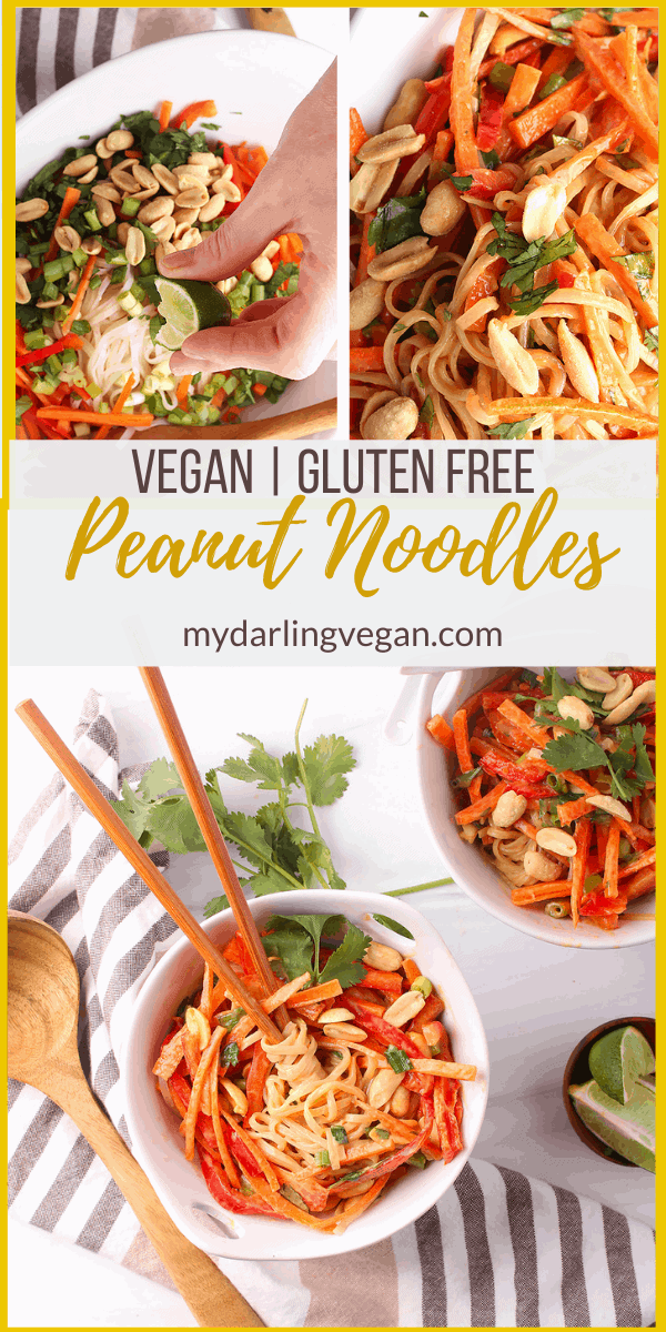 Vegan Peanut Noodles - My Darling Vegan