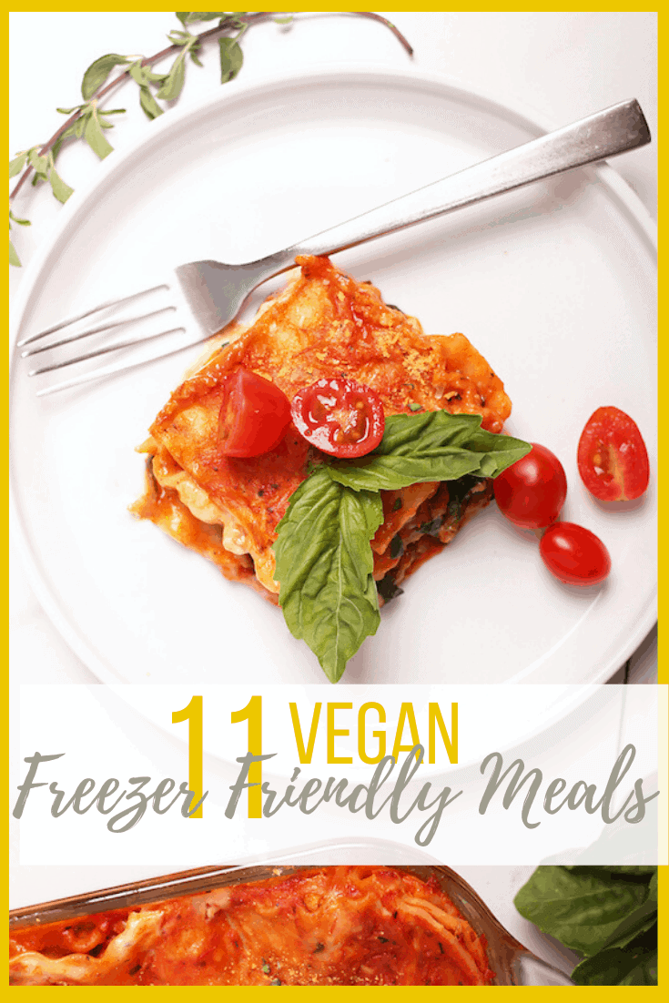 11-vegan-freezer-meals-tips-my-darling-vegan