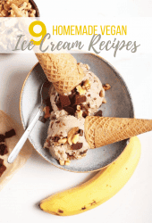 Ice Cream season is upon us! Let’s celebrate with these 11 Refreshing Homemade Vegan Ice Cream Recipes. Everything from Cookie Dough to Butter Pecan, there is a recipe for everyone.