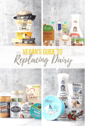 Finding dairy substitutions may be the biggest obstacle for people wanting to eat a vegan diet. Here is your complete guide to replacing dairy. With so many store bought and homemade options, going vegan has never been easier!